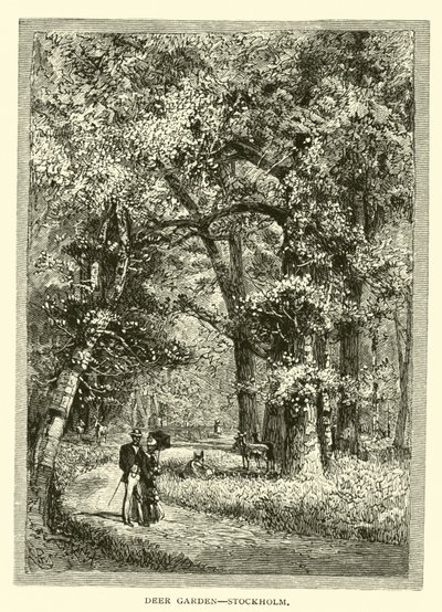 Tiergarten, Stockholm von American School