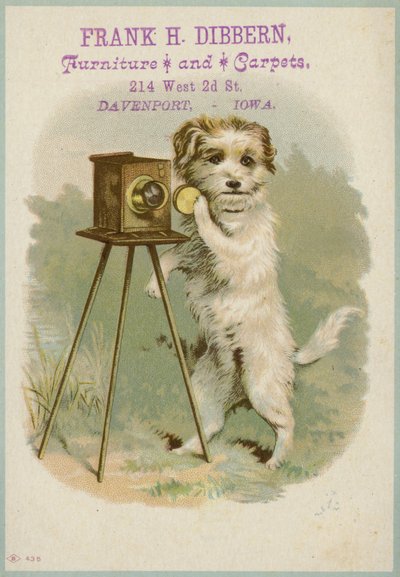 Hund mit Kamera von American School