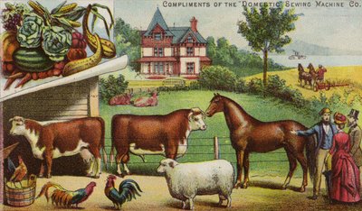 Bauernhaus und Tiere von American School