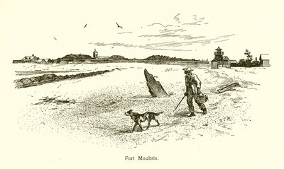 Fort Moultrie von American School