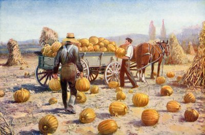 Vorbereitung auf den Winter von American School