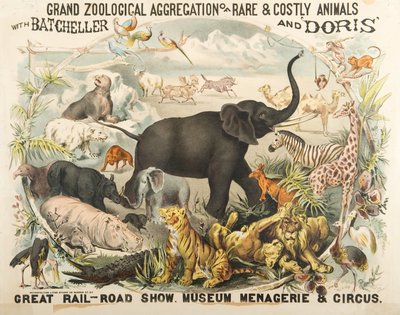 Große zoologische Sammlung seltener und kostbarer Tiere mit Batcheller und Doris von American School