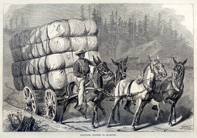Baumwolle zum Markt bringen, aus Einhundert Jahre Fortschritt der Vereinigten Staaten, veröffentlicht 1871 (Gravur) von American School
