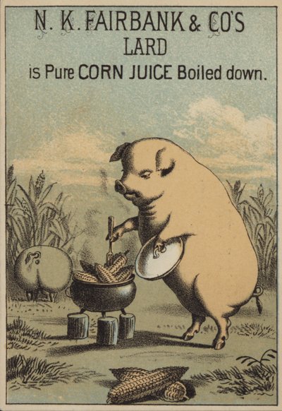 Schwein kocht Mais, um Schmalz zu machen von American School
