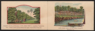 Hotel-Handelskarte (farbige Gravur) von American School