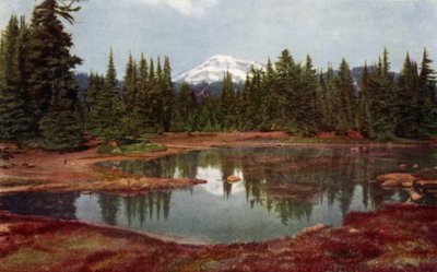 In den Oregon-Bergen von American School