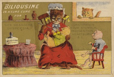 Medizinzeit für die Katzen von American School