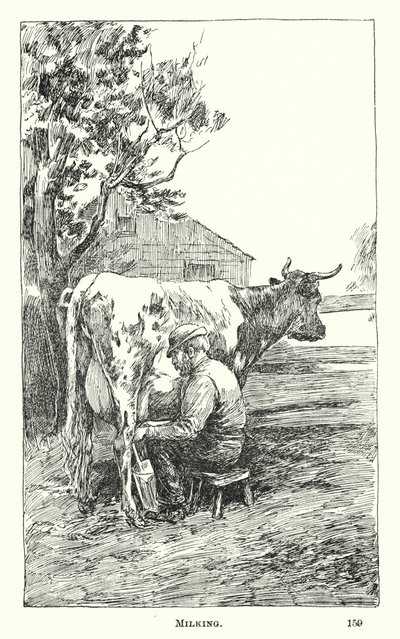 Melken von American School