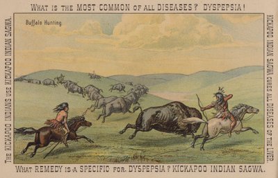 Indianer jagen Büffel von American School