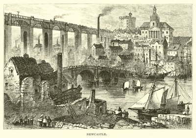 Newcastle von American School