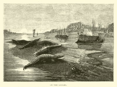 Am Ganges von American School