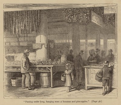 Unter langen, hängenden Reihen von Bananen und Ananas hindurchgehen (Gravur) von American School