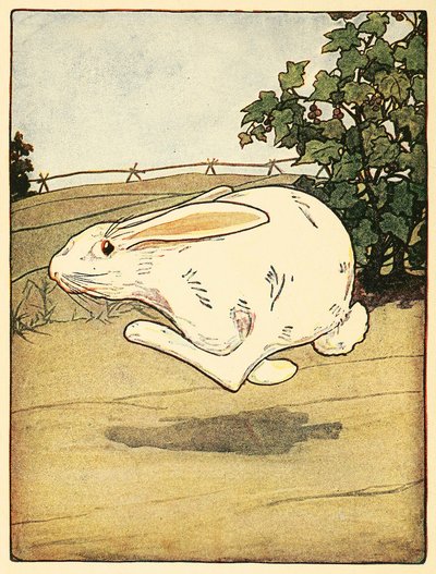 Peter hörte nie auf zu rennen, aus Die Geschichte von Peter Hase, veröffentlicht 1916 Farblithographie, 1916 von American School