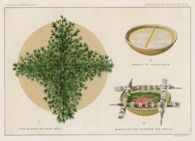 Kieferzweige auf Sandbett, Korb mit Yucca-Schaum, Korb mit Kiefernnadeln und Korallen von American School