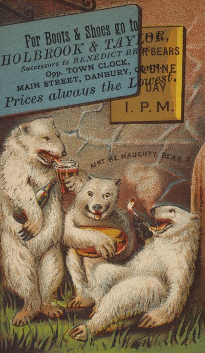 Eisbären trinken und rauchen von American School