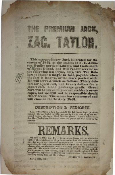 Verhandlungen und Ansprache der Verfassungskonvention, ca. 19. März 1861 von American School