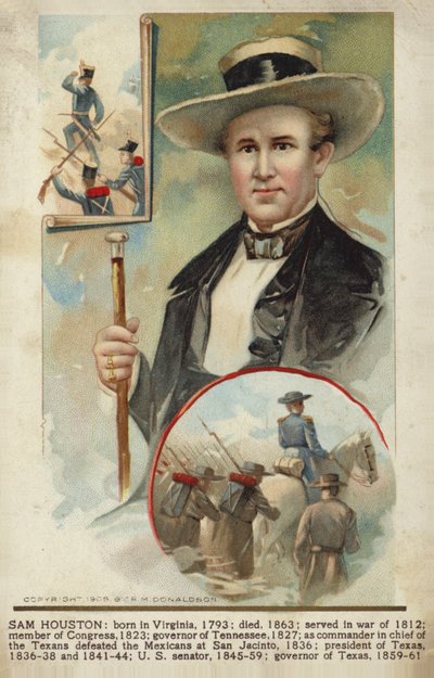 Sam Houston von American School