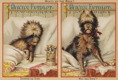 Kranker Hund im Bett von American School