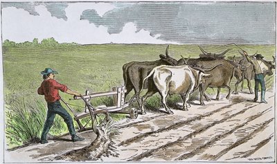 Sodbuster des amerikanischen Westens, ca. 1880 von American School