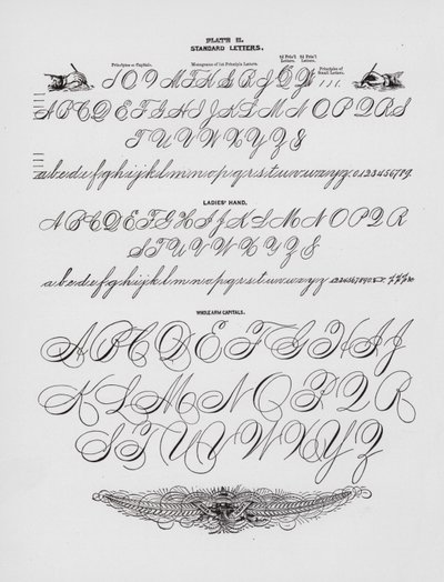 Standardbuchstaben; Damenhand; Ganze Armkapitalien von American School