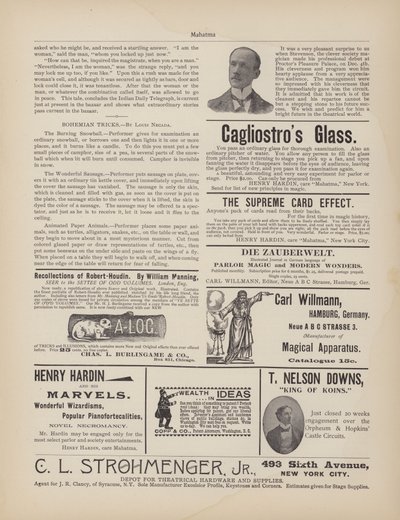 Stevenson, Werbung von American School