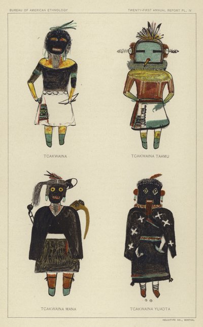 Tcakwaina, Tcakwaina Taamu, Tcakwaina Mana, Tcakwaina Yuadta von American School
