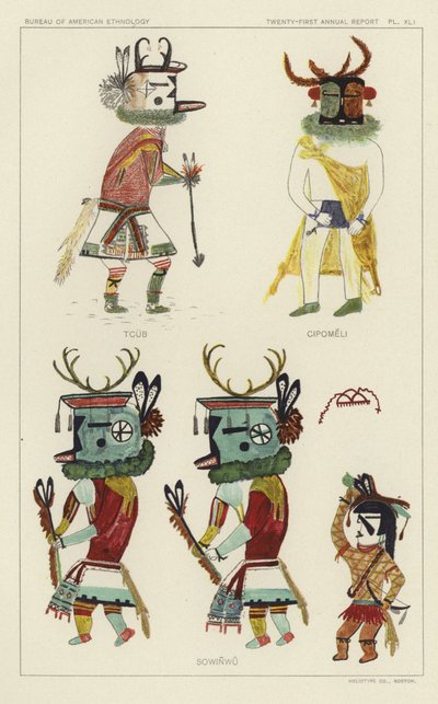 Tcub, Cipomeli, Sowinwu von American School