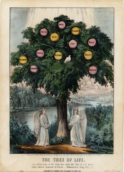 Der Baum des Lebens von American School