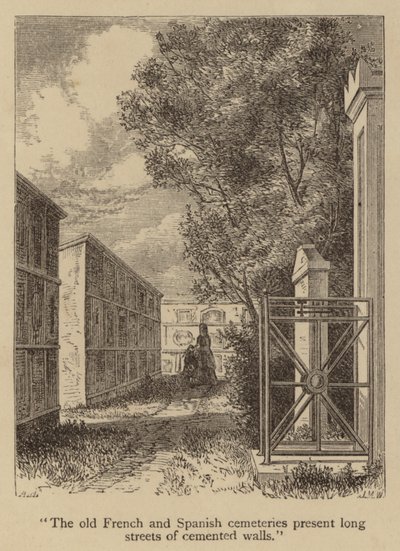 Die alten französischen und spanischen Friedhöfe präsentieren lange Straßen aus zementierten Wänden (Stich) von American School