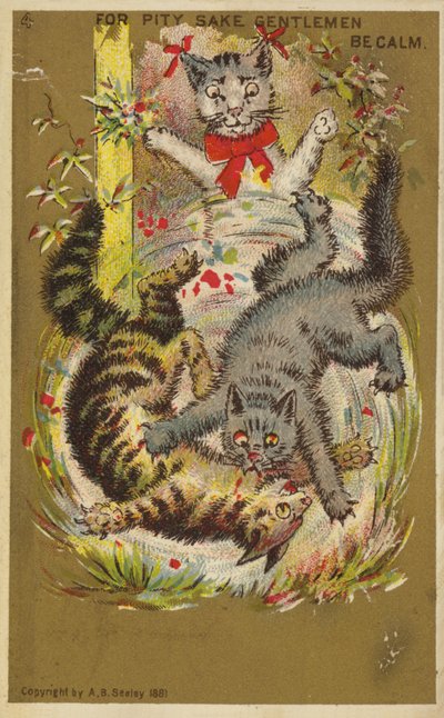 Drei verspielte Katzen von American School