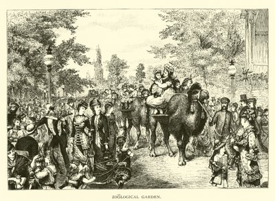 Zoologischer Garten von American School
