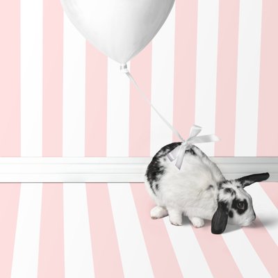 Bunnies 04, 2018 von Ana Carolina Tavares Mizrahi