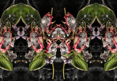 Eve_01, 2016 von Ana Carolina Tavares Mizrahi