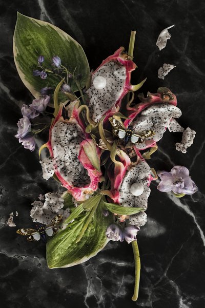 Eve_08, 2016 von Ana Carolina Tavares Mizrahi