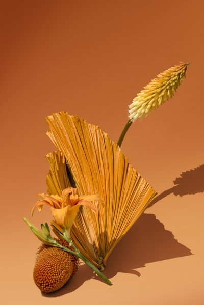 Ikebana 02, 2018 von Ana Carolina Tavares Mizrahi