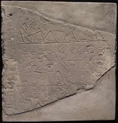 Fragment einer Stele, die Pflügen, Ernten und Vogelfang darstellt von Ancient Egyptian