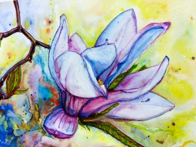 Vibrante Magnolienblüte von Anda Bieza