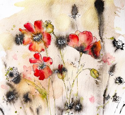 Wilder Mohn Aquarell von Anda Bieza