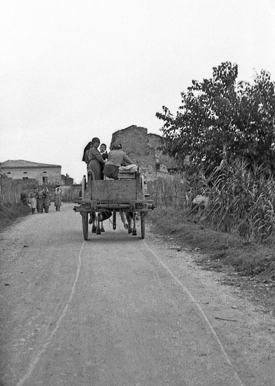 Bittere Trauben - Hin- und Rückweg zur Arbeit von Ando Gilardi