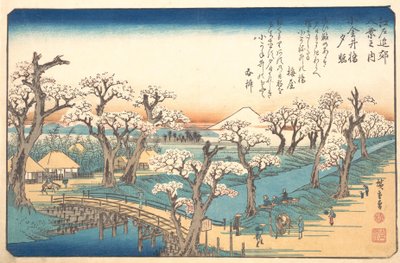 Abendglühen an der Koganei-Grenze, 19. Jahrhundert von Ando Hiroshige