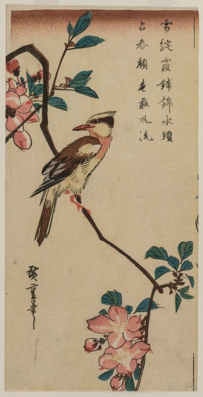Koreanische Nachtigall auf Kirschzweig von Ando Hiroshige