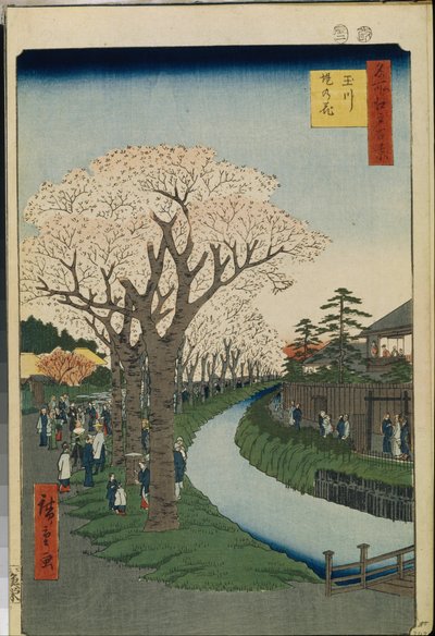 Hundert berühmte Ansichten von Edo: Kirschblüten am Ufer des Tama-Flusses von Ando or Utagawa Hiroshige