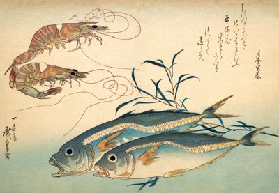 Japanische Pferdemakrele und japanische Tiger-Garnele von Ando or Utagawa Hiroshige