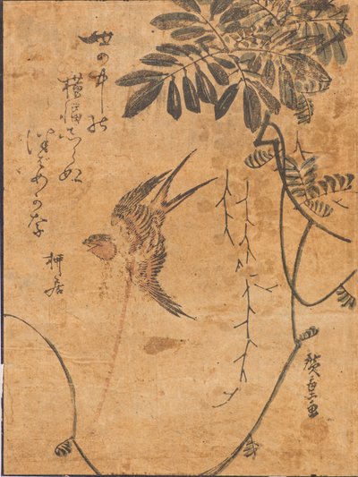 Studie eines Vogels im Flug und einer Pflanze von Ando or Utagawa Hiroshige