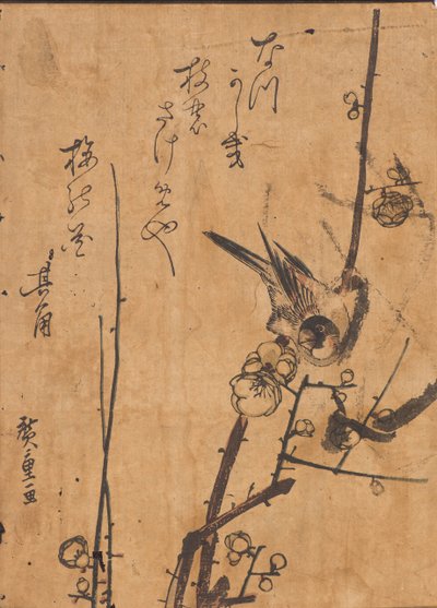 Studie eines Vogels auf einem Ast von Ando or Utagawa Hiroshige