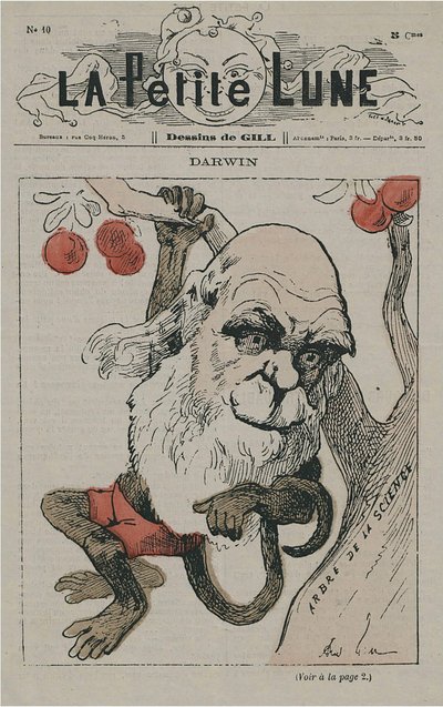 Darwin als Affe auf La Petite Lune von Andre Gill