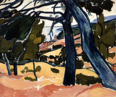 Pinede a Cassis von Andre Derain