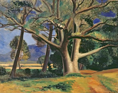 Der große Baum, ca. 1929-30 von Andre Derain
