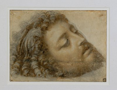 Kopf des Heiligen Johannes des Täufers von Andrea Solario