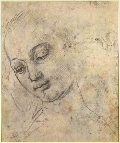Porträt eines weiblichen Kopfes von Andrea del Verrocchio